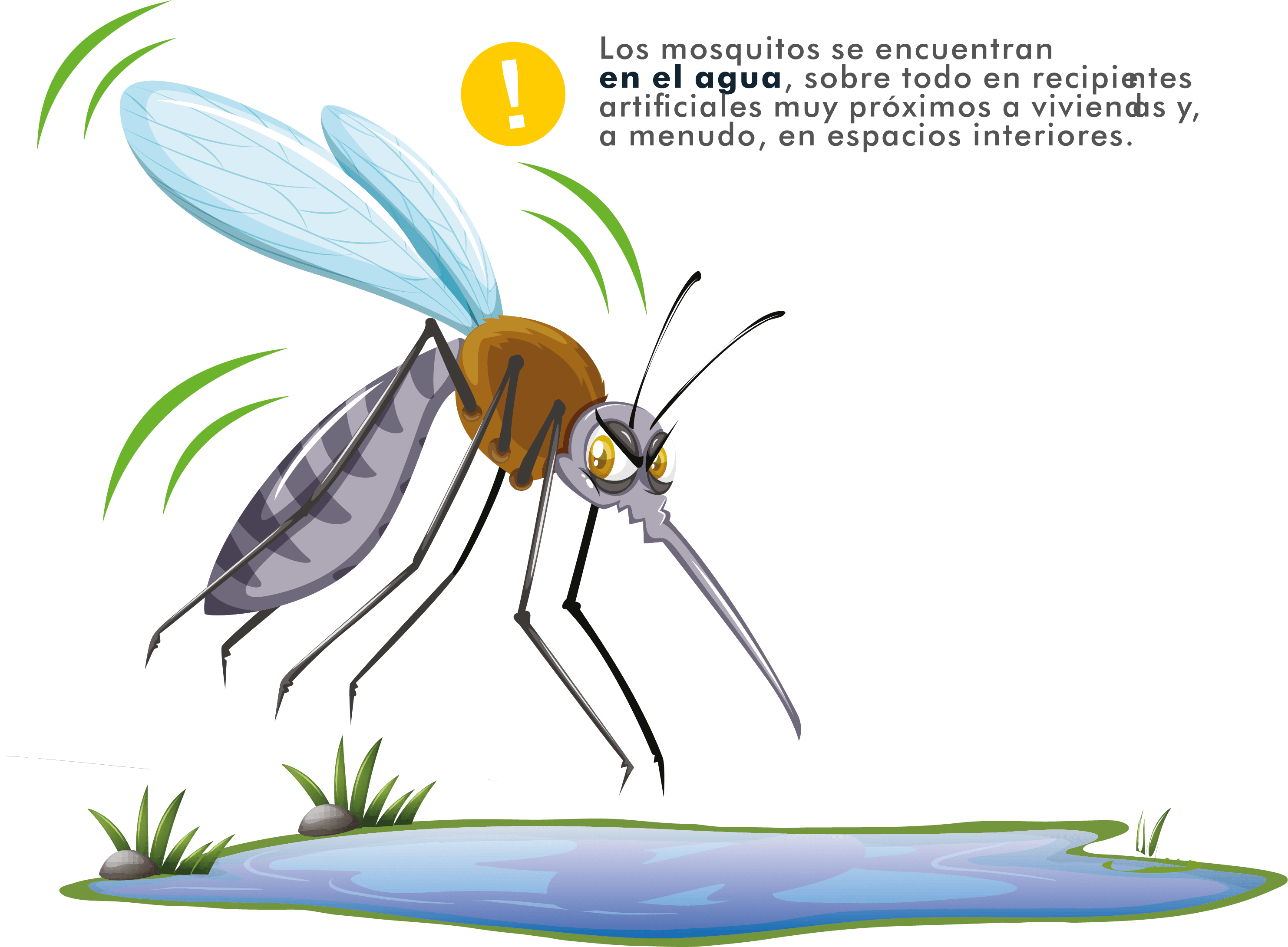 propagacion del dengue