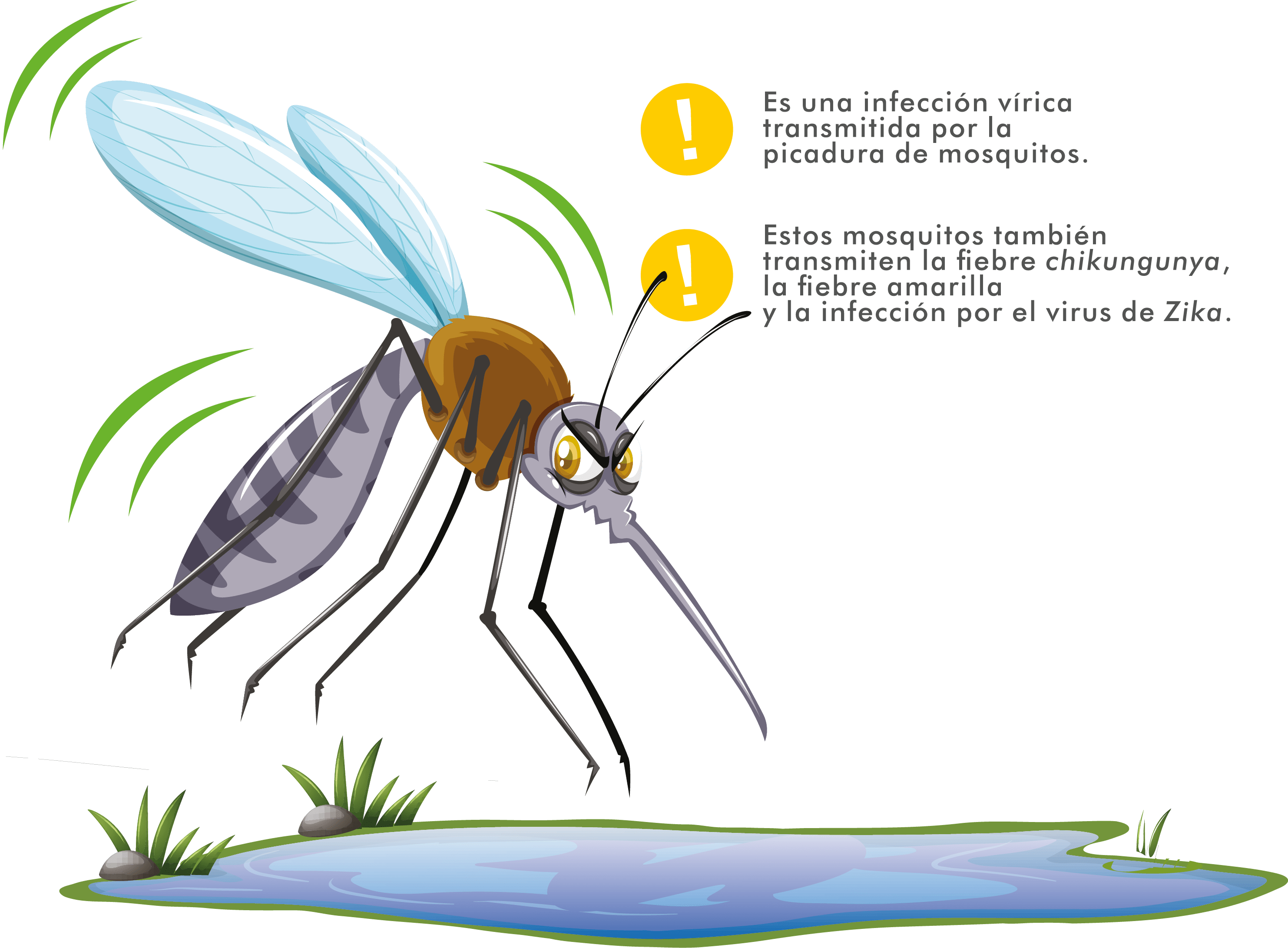 informacion sobre el dengue